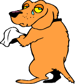 dog_crying crying dog