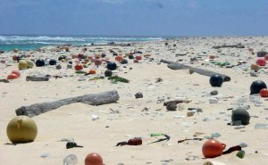 In this photo released by National Oceanic and Atmospheric Administration, marine debris has been washed ashore on Laysan Island in the Hawaiian Islands