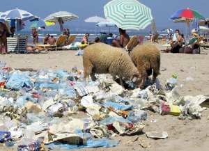 Sheep feed off rubbish left on one of Albania's biggest beach resorts of Durres